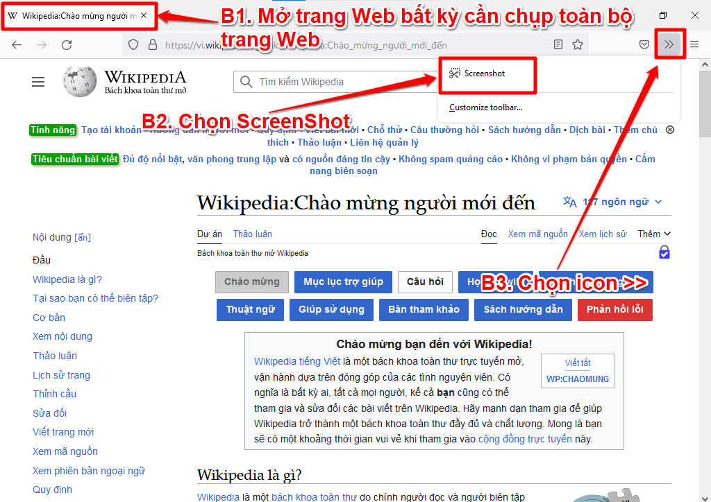 chụp ảnh màn hình toàn bộ trang web