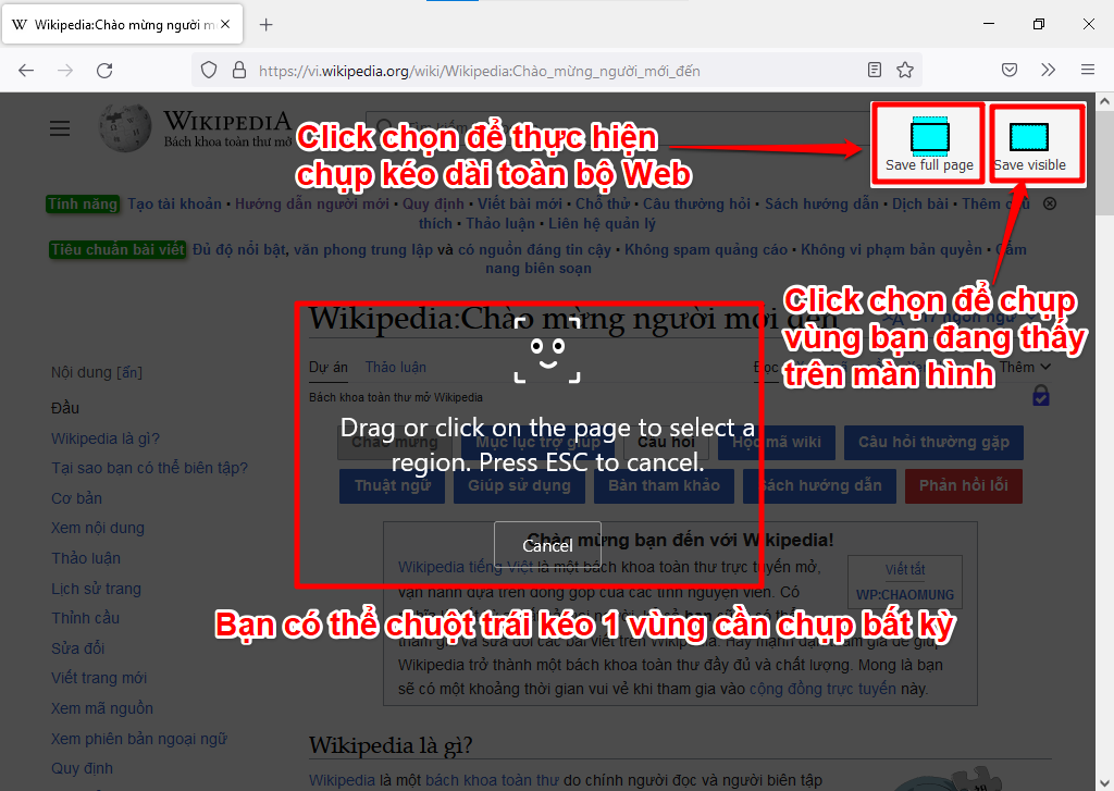 chụp ảnh màn hình toàn bộ trang web